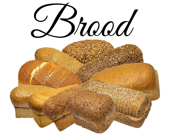Brood