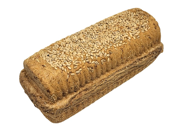 Kampioen